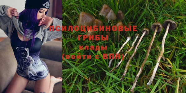 мяу мяу мука Липки