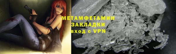 прущие грибы Магас