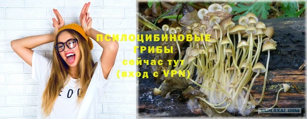 мяу мяу мука Липки