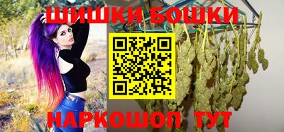 индика Апшеронск