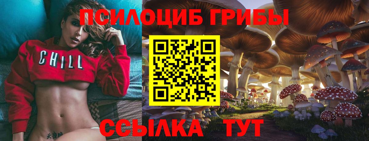 Псилоцибиновые грибы Magic Shrooms Армавир