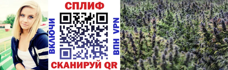 Каннабис Ganja Армавир